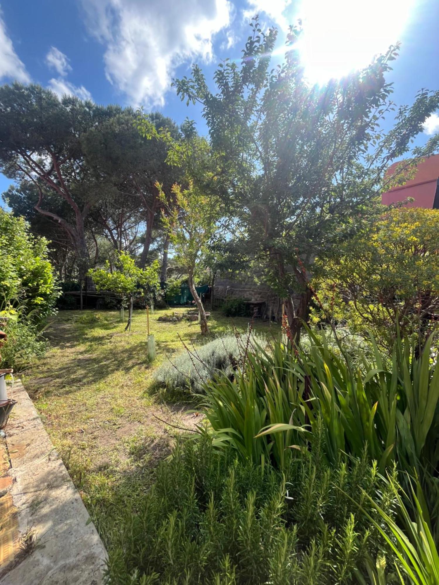 Casa Vista Castello Villa Capraia Exterior photo